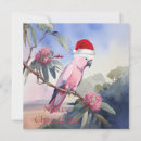 Search for australian christmas cards Animals