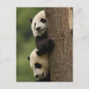 Search for on loss of baby sympathy cards Moss