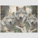 Search for wolf tissue paper Animals