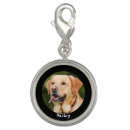 Search for photo charms Pet