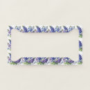 Search for texas plates Bluebonnets