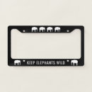 Search for elephant license plates Animals