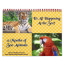 Search for giraffe calendars Koala