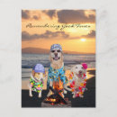 Search for beach party dogs invitations Funny