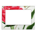 Search for multi color picture frames Black
