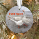 Search for goose ornaments Winter