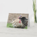 Search for giving thank you cards turkey