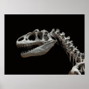 Search for dinosaur skeleton posters Black