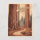 Search for sequoia national park postcards Redwood tree