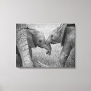 Search for elephant canvas prints Africa
