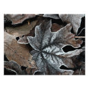 Search for autumn scene posters Leaves