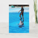 Search for dolphin christmas cards Xmas