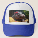 Search for hippo hats Wildlife