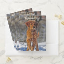 Search for puppy folders Dog