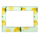 Search for lemon picture frames Summer