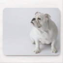 Search for bulldog mousepads Animal