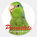 Search for parrotlet Green