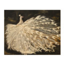 Search for white peacock art Fine
