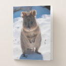 Search for beach folders Cute