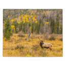 Search for rocky mountain national park puzzles Valley