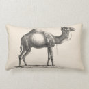 Search for camel pillows Desert