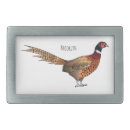 Search for pheasant hunting gifts Phasianus colchicus