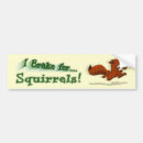 Search for i brake for squirrels bumper stickers Funny