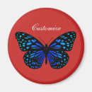 Search for butterfly magnets Blue