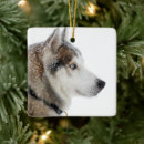 Search for red siberian husky ornaments Snow
