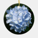 Search for hydrangea ornaments Flowers