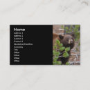 Search for bear business cards Outdoors