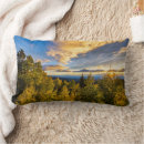 Search for santa fe pillows New mexico
