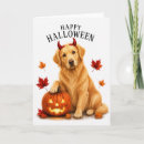 Search for dog halloween cards Golden retriever