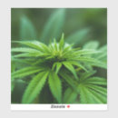 Search for weed stickers Mary jane