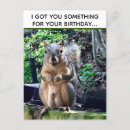 Search for funny squirrel postcards joke