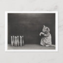 Search for weird postcards Vintage