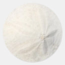 Search for sand dollar stickers Seashell