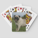 Search for pug playing cards Standing