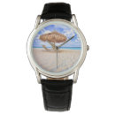 Search for sunlight watches Photography