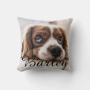 Search for dog face pillows Animal