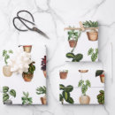 Search for potted plants wrapping paper Botanical