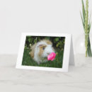 Search for to old friend birthday cards Photography