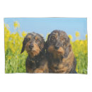 Search for dachshunds pillowcases Weenie dog