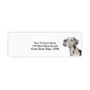 Search for merle great dane Pet