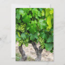 Search for wine thank you cards Green