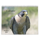 Search for falcon calendars animal