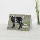 Search for goat memorial Cute