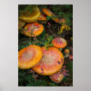 Search for washington state parks posters Gary luhm