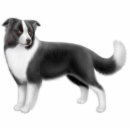 Search for border collie gifts farm
