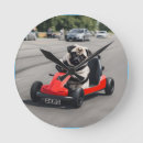 Search for pug clocks Animal